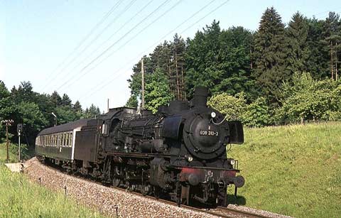 038 313-3